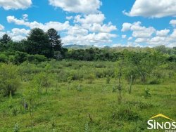 Sítio de 6,51 hectares em Lomba Grande 