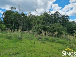 Sítio de 6,51 hectares em Lomba Grande 