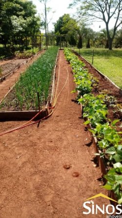 Sítio de 1,00 hectare na Santa Maria 