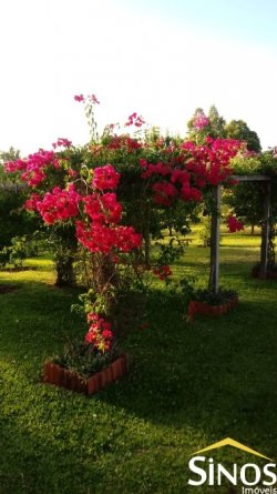 Sítio de 1,00 hectare na Santa Maria 