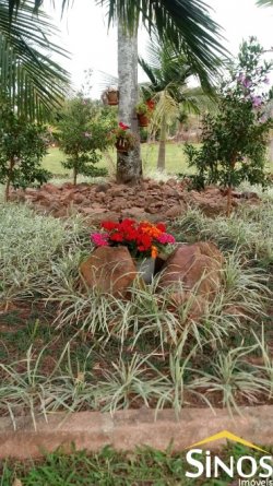 Sítio de 1,00 hectare na Santa Maria 