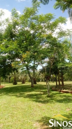 Sítio de 1,00 hectare na Santa Maria 