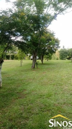 Sítio de 1,00 hectare na Santa Maria 