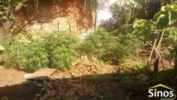 Casa com 02 dormitórios em Canudos 