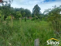 Sítio de 2,1 hectares com casa na Santa Maria do Butiá 