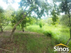 Sítio de 2,1 hectares com casa na Santa Maria do Butiá 