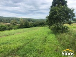 Sítio de 2,89 hectares na região do Quilombo na Lomba Grande 