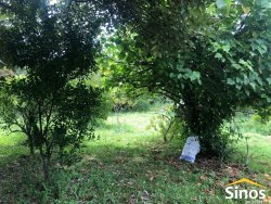 Sítio de 2,89 hectares na região do Quilombo na Lomba Grande 
