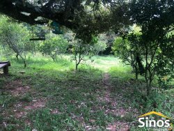 Sítio de 2,89 hectares na região do Quilombo na Lomba Grande 