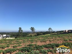 Sítio de 1,7 hectares na área central de Lomba Grande 