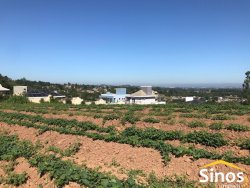 Sítio de 1,7 hectares na área central de Lomba Grande 