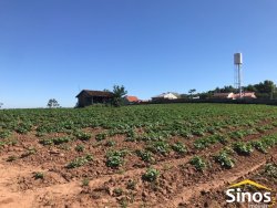 Sítio de 1,7 hectares na área central de Lomba Grande 