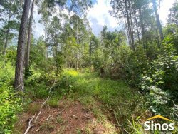 Área de 10,00 hectares com açude em Lomba Grande 