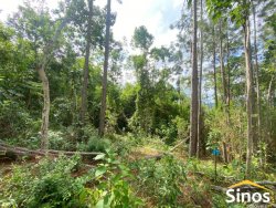 Área de 10,00 hectares com açude em Lomba Grande 