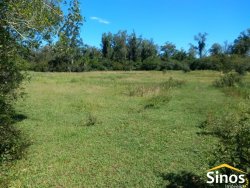 Área com 5.643,34 m² em Lomba Grande  