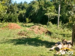 Área com 5.643,34 m² em Lomba Grande  