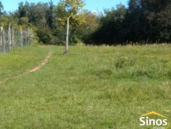 Área com 5.643,34 m² em Lomba Grande  