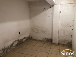 Terreno com casa no bairro Hamburgo Velho 