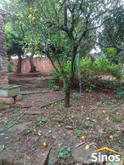 Terreno com casa no bairro Feitoria  