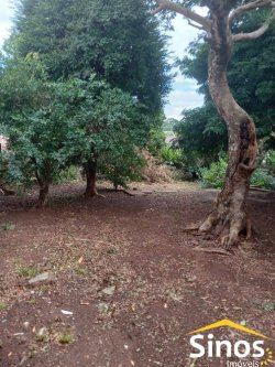 Terreno com casa no bairro Feitoria  