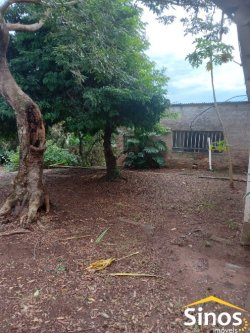 Terreno com casa no bairro Feitoria  