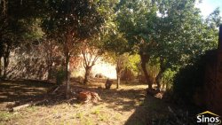 Terreno com casa mista no bairro Ouro Branco 