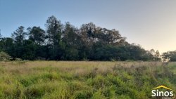 Áreas de 2,00 hectares no Recanto dos Coqueiros 