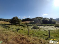Áreas de 1,00 hectare no Recanto dos Coqueiros 