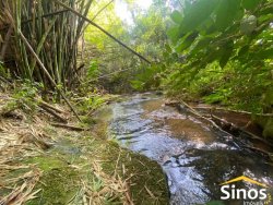 Belas áreas de 2,00 hectares no Moinho Bela Vista- Lomba Grande 