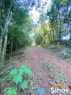 Belas áreas de 2,00 hectares no Moinho Bela Vista- Lomba Grande 