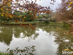 Sítio ideal para eventos em Lomba Grande 