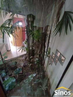 Casa com 03 dormitórios no Bairro Rondônia 