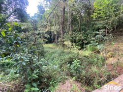 Sítio de 2,00 hectares em Lomba Grande 