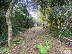 Sítio de 2,00 hectares em Lomba Grande 
