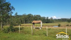 Sítio com 62 hectares no bairro Capela de Santana  
