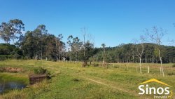 Sítio com 62 hectares no bairro Capela de Santana  