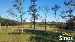 Sítio com 62 hectares no bairro Capela de Santana  