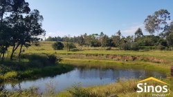 Sítio com 62 hectares no bairro Capela de Santana  