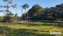 Sítio com 62 hectares no bairro Capela de Santana  