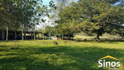 Sítio com 62 hectares no bairro Capela de Santana  