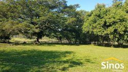 Sítio com 62 hectares no bairro Capela de Santana  