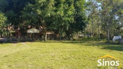 Sítio com 62 hectares no bairro Capela de Santana  