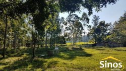 Sítio com 62 hectares no bairro Capela de Santana  