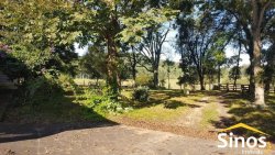 Sítio com 62 hectares no bairro Capela de Santana  