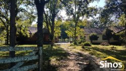 Sítio com 62 hectares no bairro Capela de Santana  