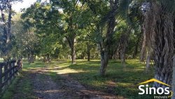 Sítio com 62 hectares no bairro Capela de Santana  