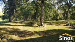 Sítio com 62 hectares no bairro Capela de Santana  