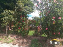 Terreno em Lomba Grande 