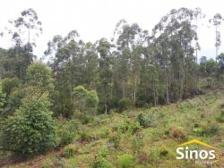 Terreno no bairro Morro Montenegro  