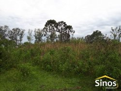Terreno no bairro Morro Montenegro  